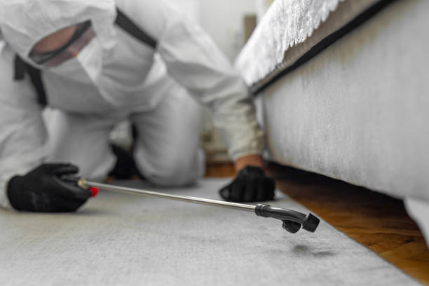 Professional Cockroach Control technician working in Pine Island, TX