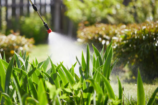 24/7 Emergency Cockroach Control experts in Pine Island, TX